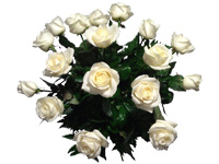 comprar Ramo de 18 Rosas