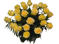 comprar Ramo de 24 Rosas