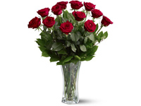 comprar Ramo de 12 Rosas