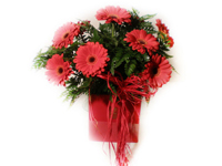 comprar Ramo de Gerberas